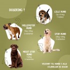 Anbefalet dagsdosis allergi-piller til hund