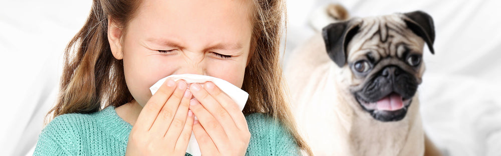 Er allergier arvelige?