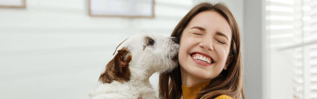 Sådan får du en sund og glad hund