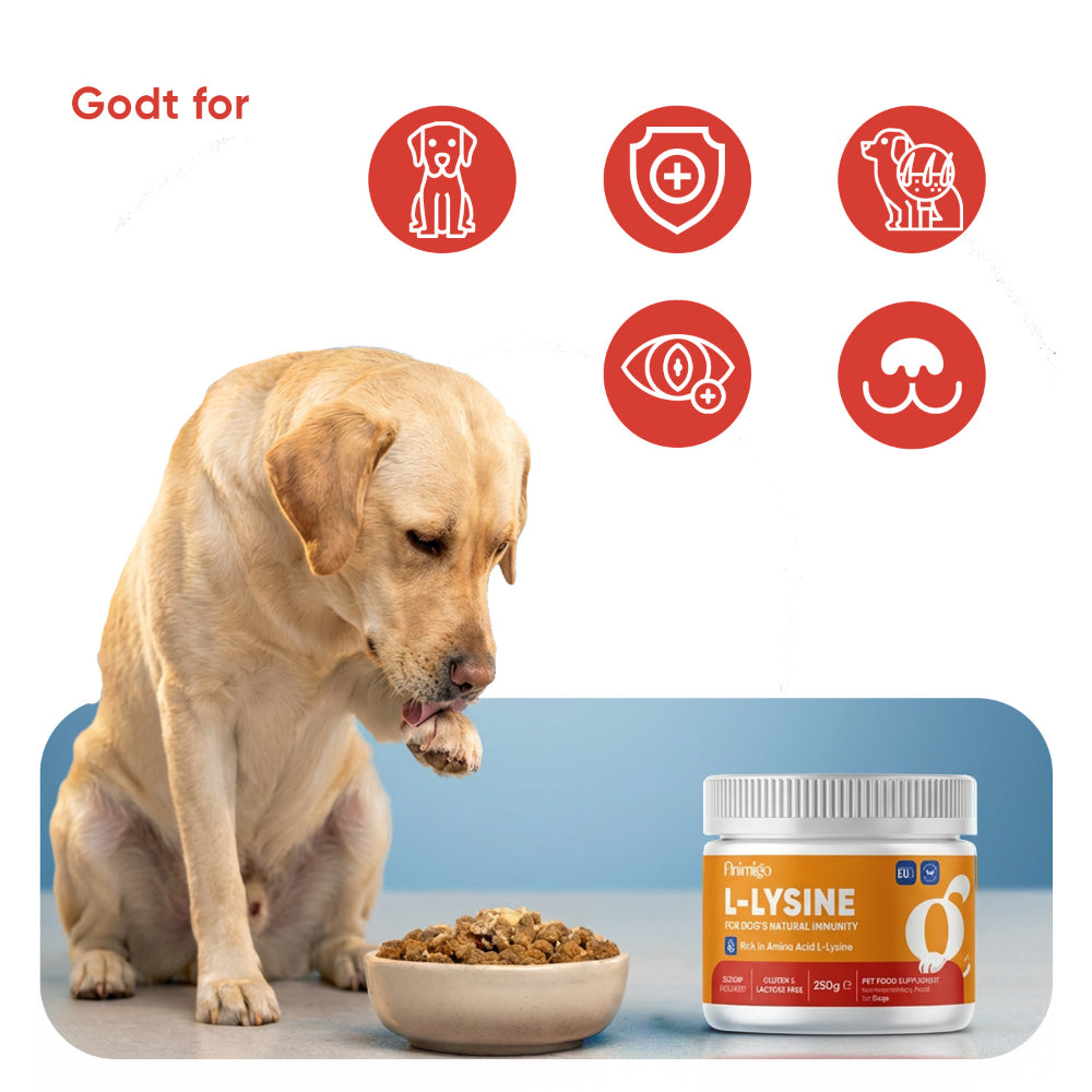 L-lysinpulver til hunde 250 g