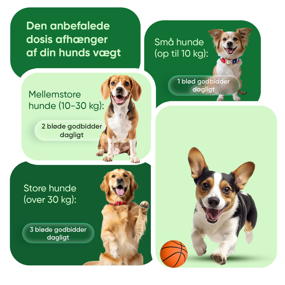 Beroligende tyggetabletter til hunde – 120 bløde tyggetabletter