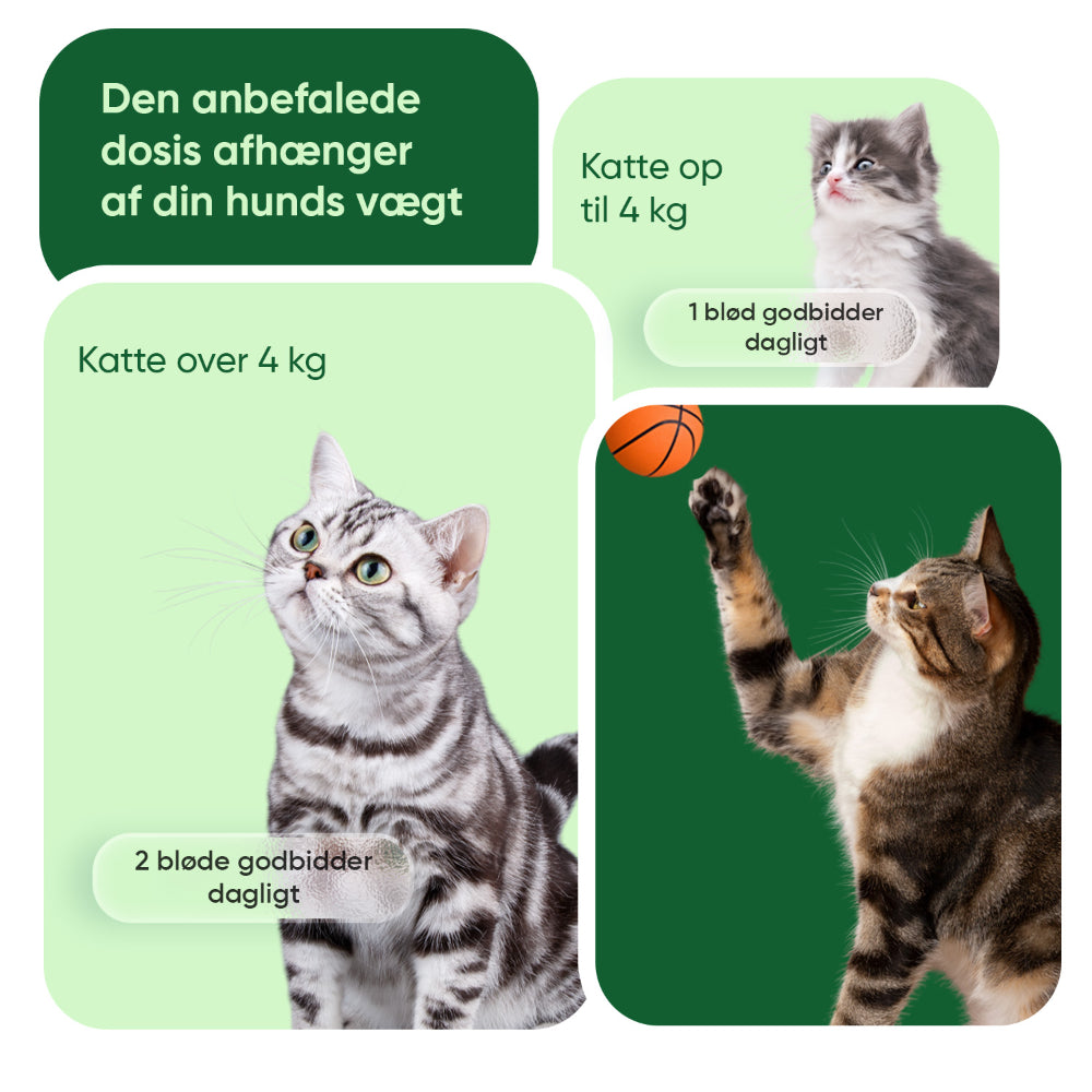 Beroligende tyggetabletter til hunde