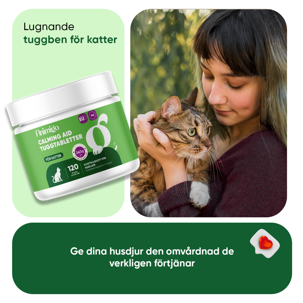 Beroligende tyggebidder til katte
