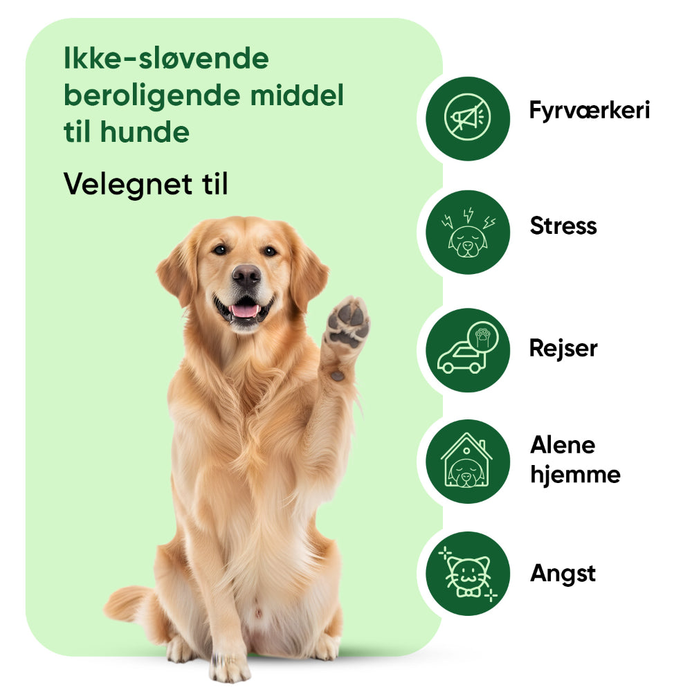 Beroligende tyggetabletter til hunde – 120 bløde tyggetabletter