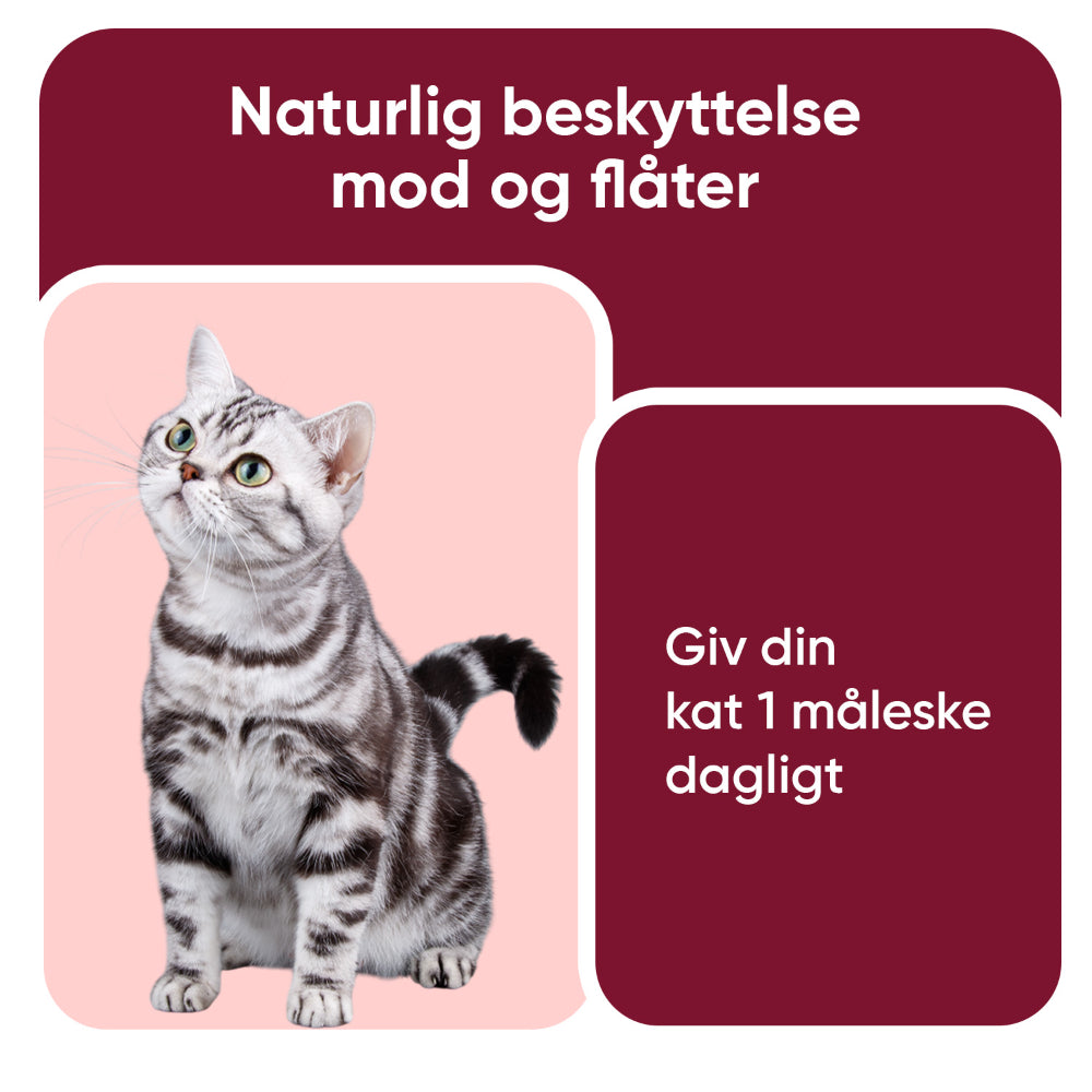 Pulver mod lopper og flåter til katte