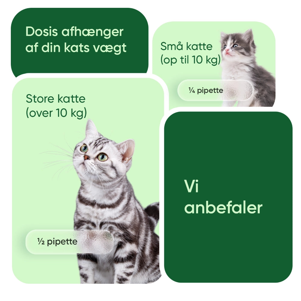 animigo-dk-hemp-oil-60ml-for-cat-bottle-02
