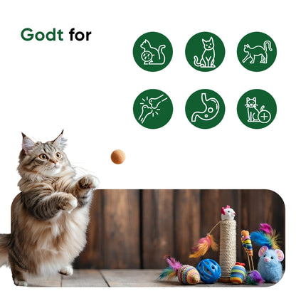 animigo-dk-hemp-oil-60ml-for-cat-bottle-03