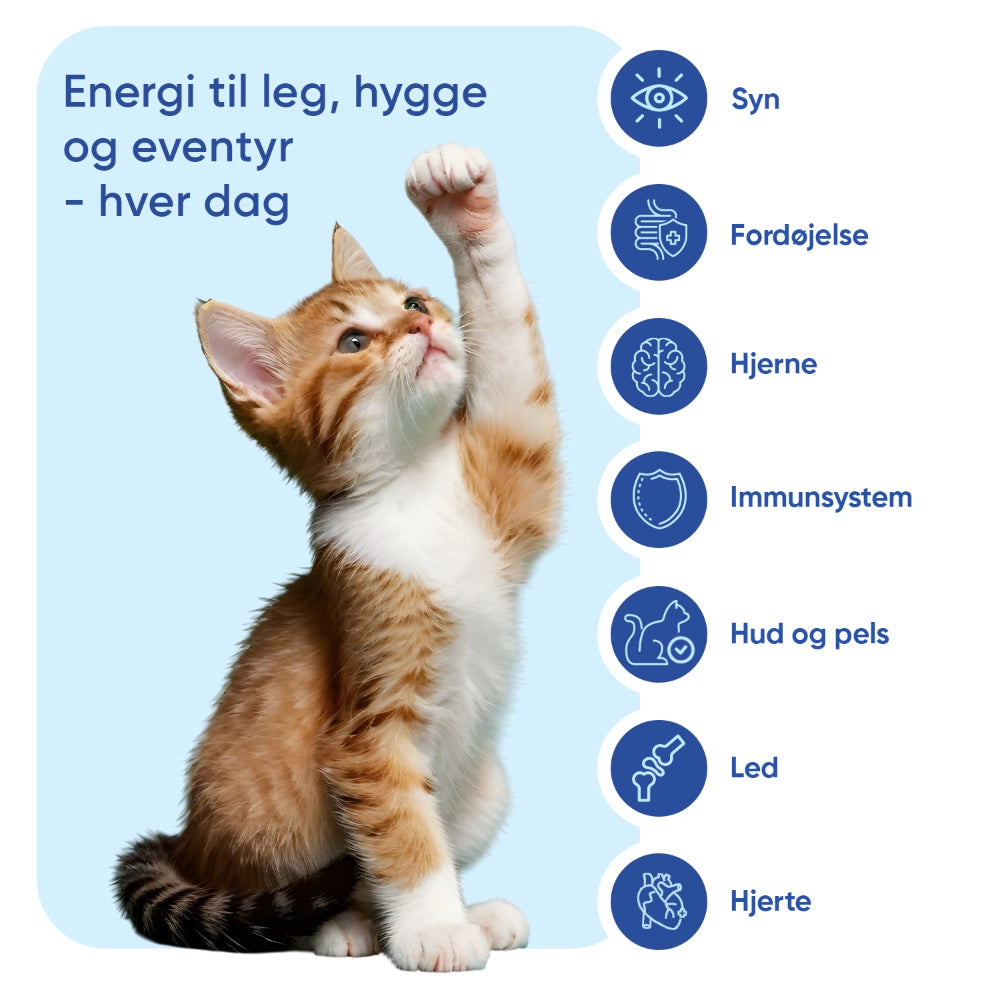 animigo-dk-multivitamin-with-minerals-for-cats-03