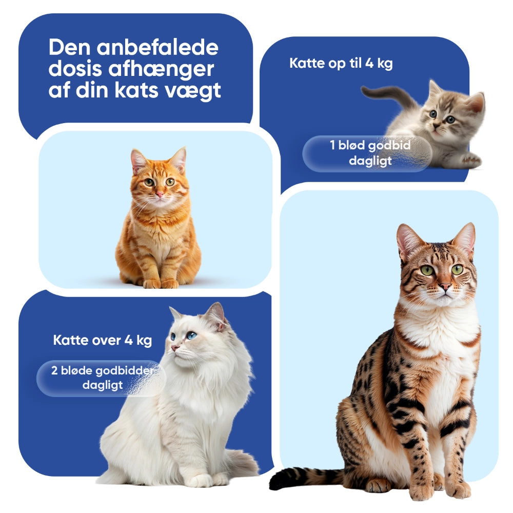 animigo-dk-multivitamin-with-minerals-for-cats-04