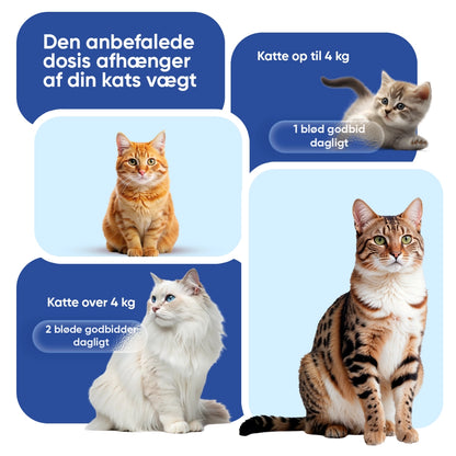 animigo-dk-multivitamin-with-minerals-for-cats-04