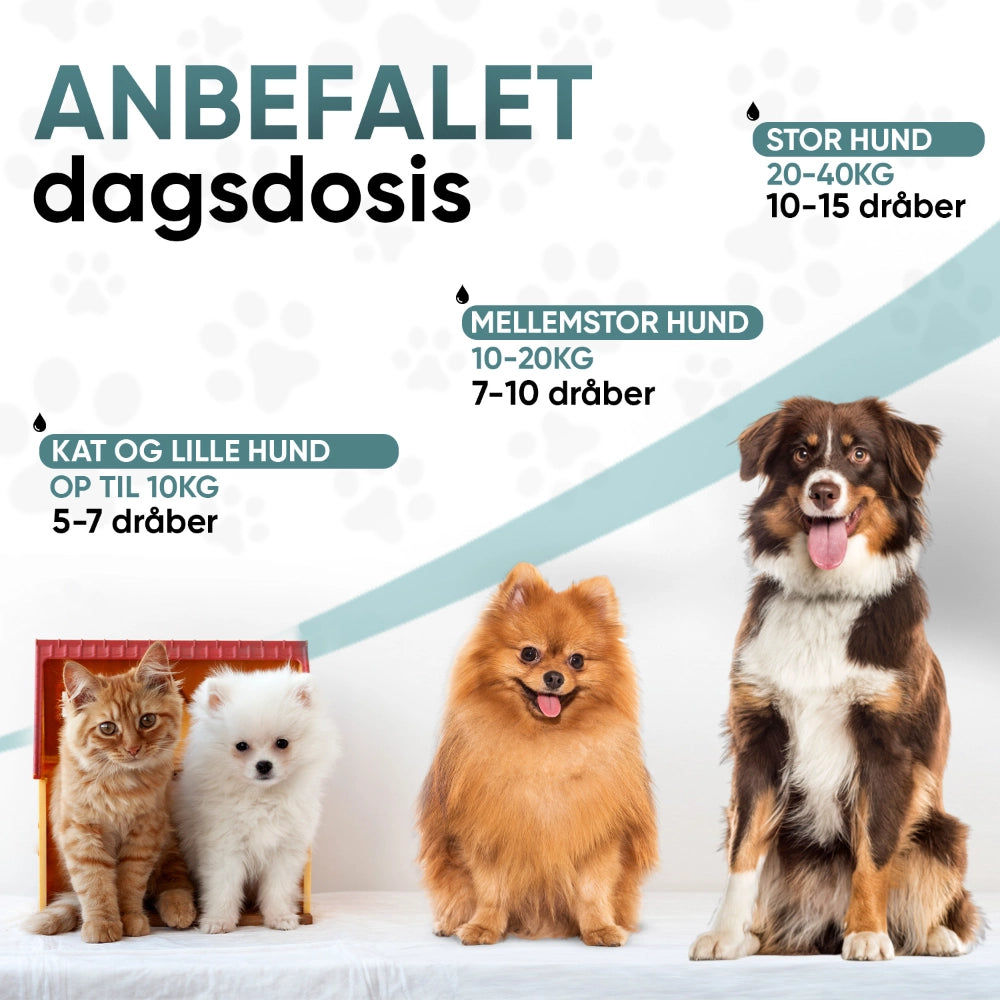 animigo-dkwormwood-advanced-liquid-bottle-03