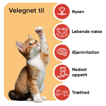 animigo-uk-l-lysine-cats-powder-bottle-02