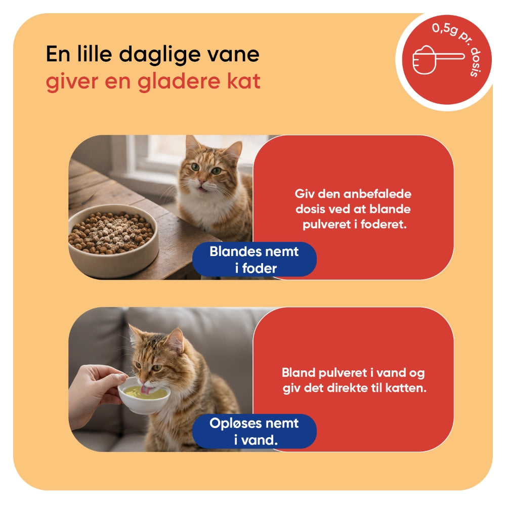animigo-uk-l-lysine-cats-powder-bottle-04