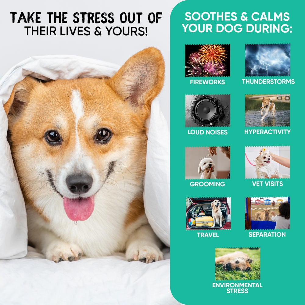 calming-aid-caps-dk-3.jpg