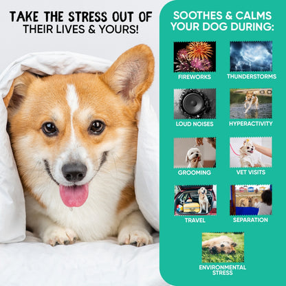 calming-aid-caps-dk-3.jpg