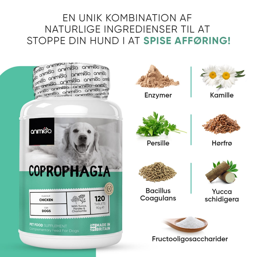 coprophagia-tablet-dk-03