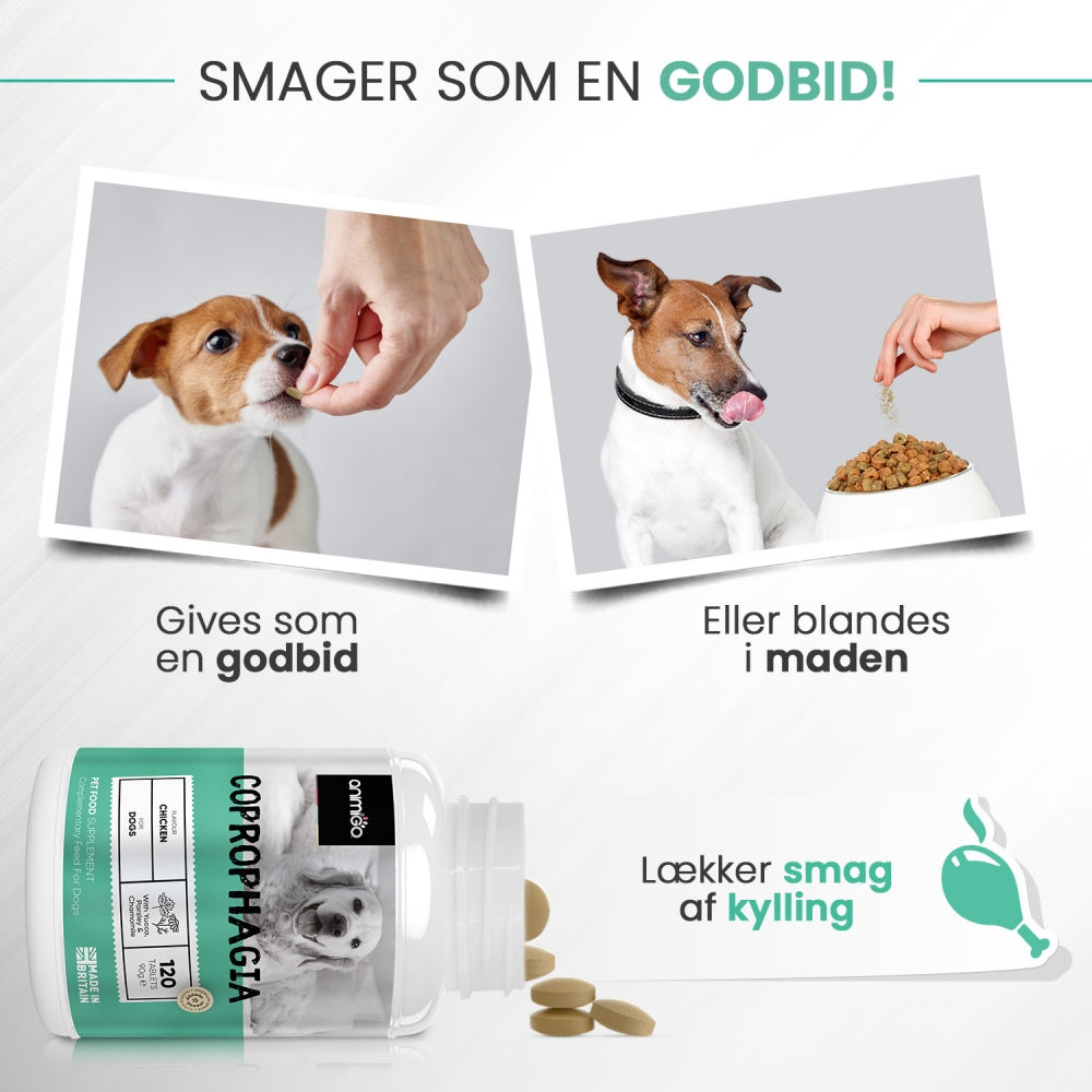 coprophagia-tablet-dk-04