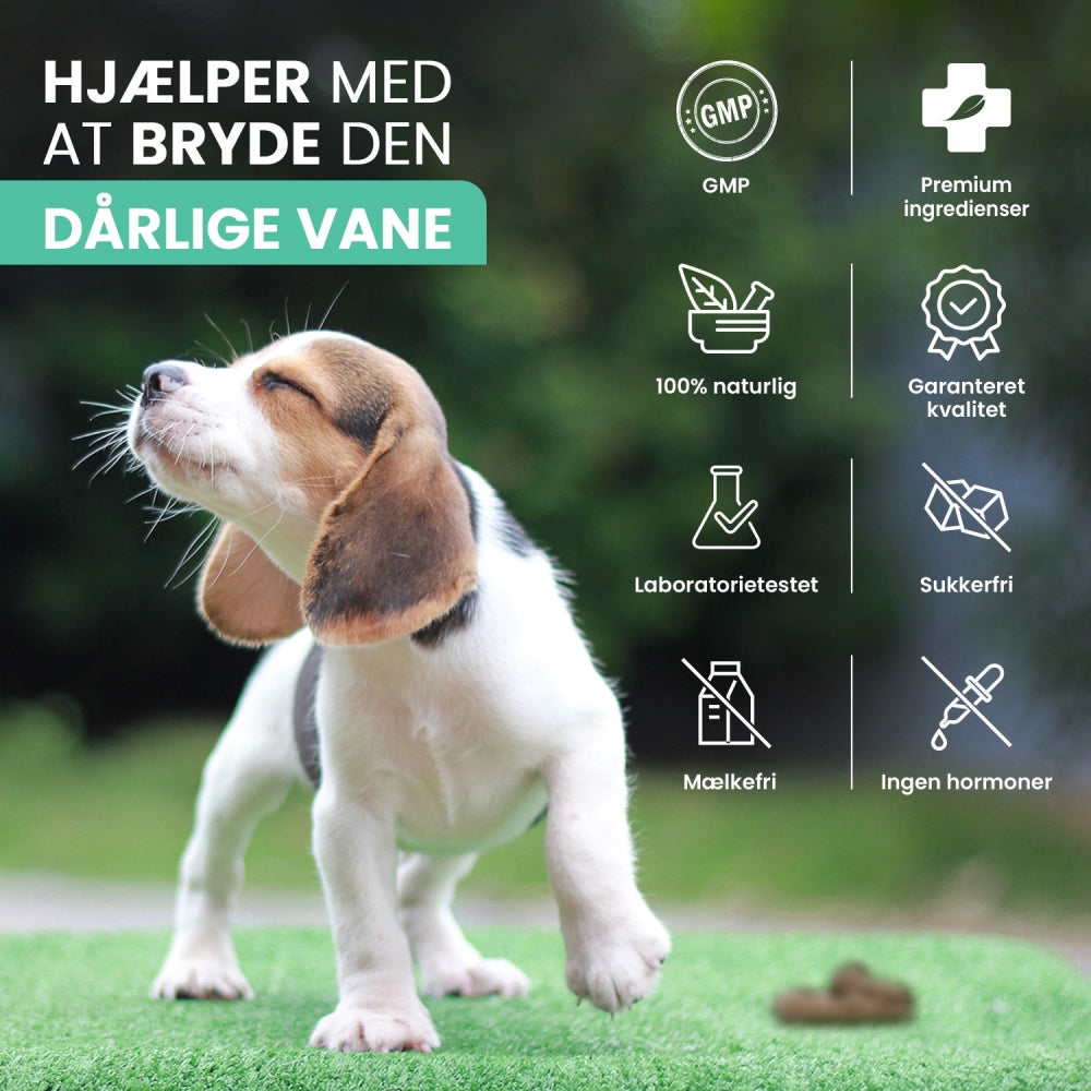coprophagia-tablet-dk-05