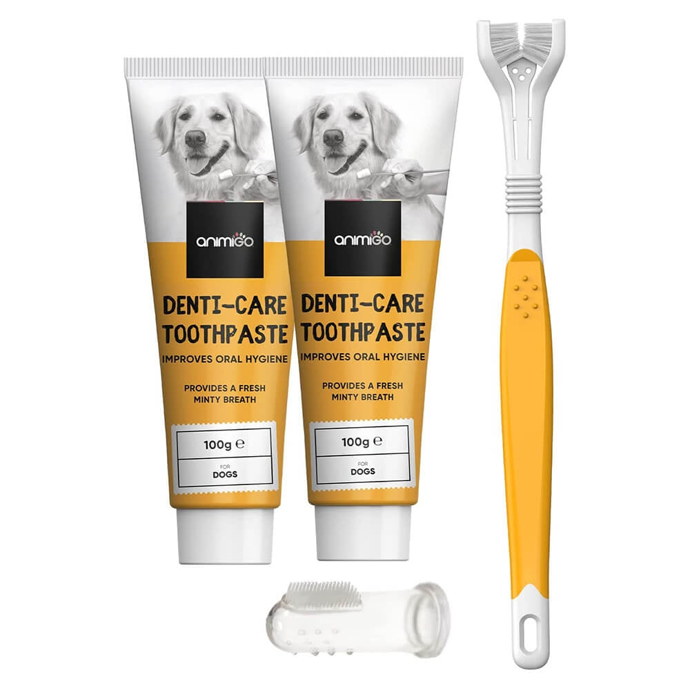 denti-care-kit-front.jpg
