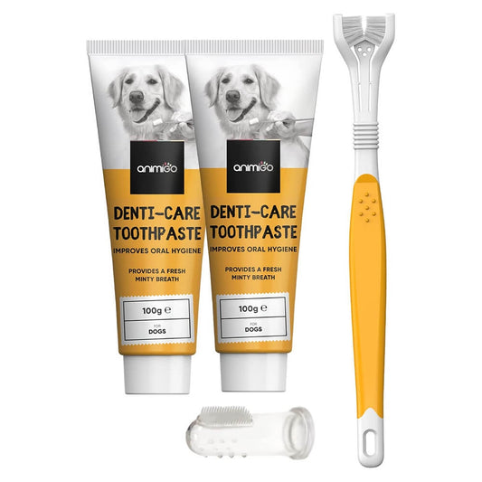 denti-care-kit-front.jpg