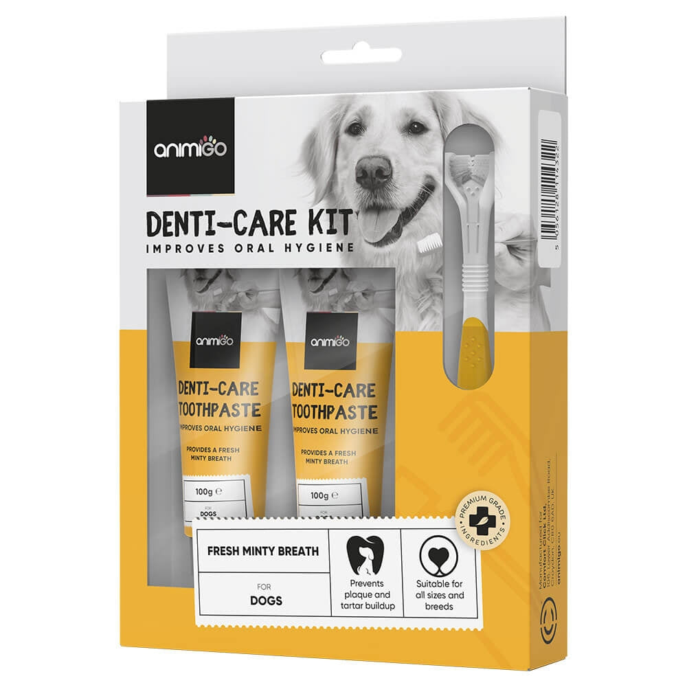 denti-care-kit-toothpaste-box.jpg