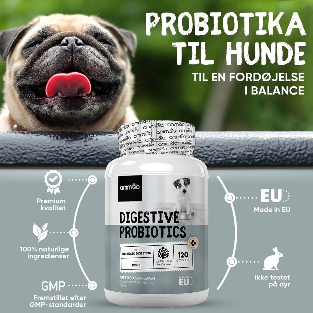 digestive-probiotic-tablets-dk-3.jpg