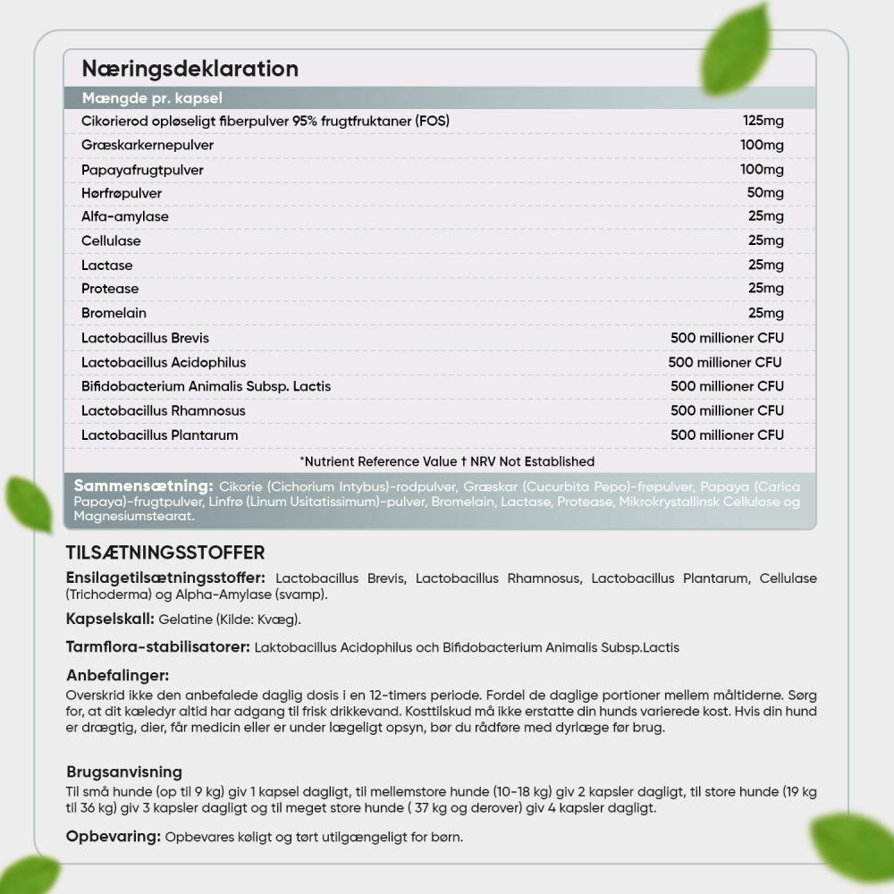 digestive-probiotic-tablets-dk-back.jpg