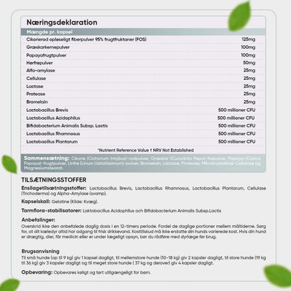 digestive-probiotic-tablets-dk-back.jpg