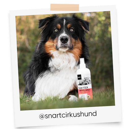 flea-and-tick-controll-spray-oil-ugc.jpg