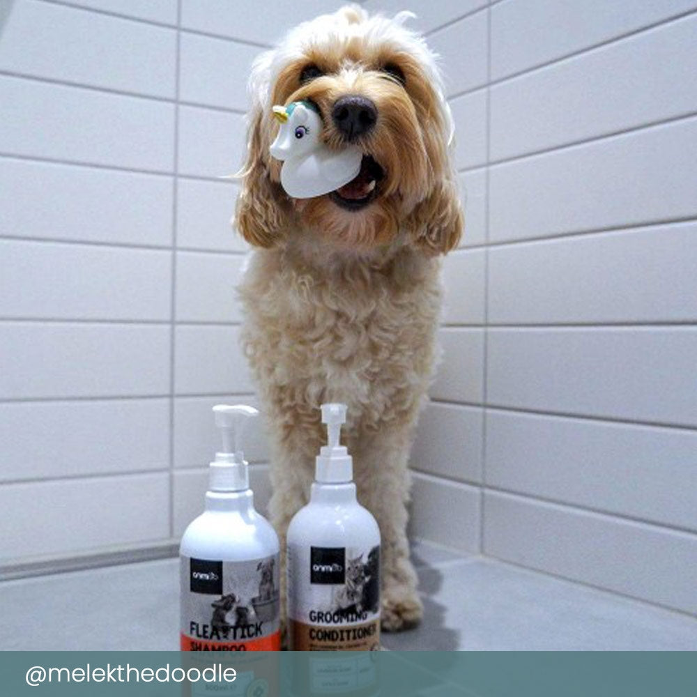 flea-and-tick-shampoo-ugc-02