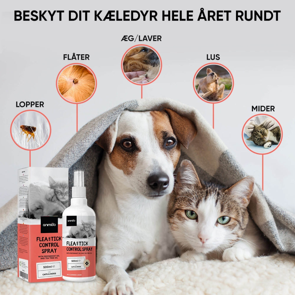 flea-and-tick-spray-dk-04.jpg