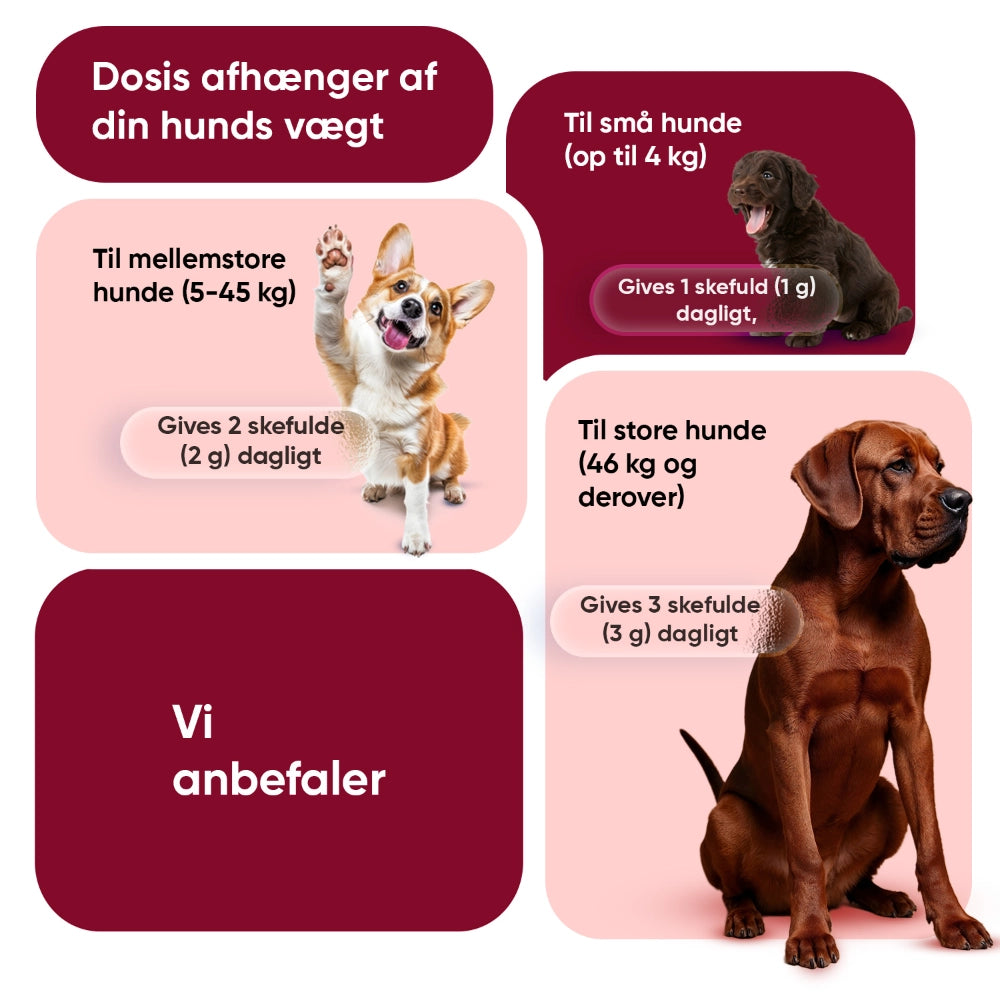 flea-tick-defence-powder-for-dogs-dk-4