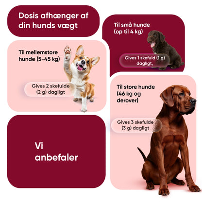 flea-tick-defence-powder-for-dogs-dk-4