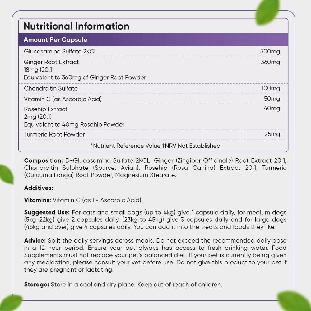 glucosamine-and-chondroitin-uk-back