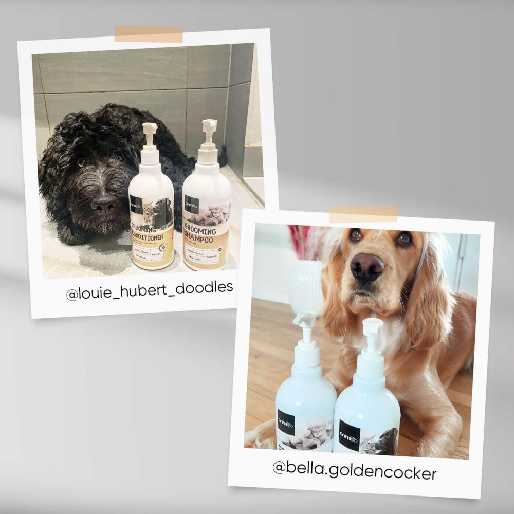grooming-conditioner-ugc.jpg