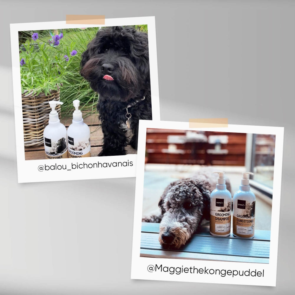 Animigos hundeshampoo kan bruges til både hunde og katte