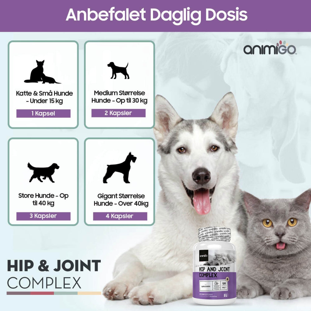 hip-and-joint-complex-dk-02.jpg