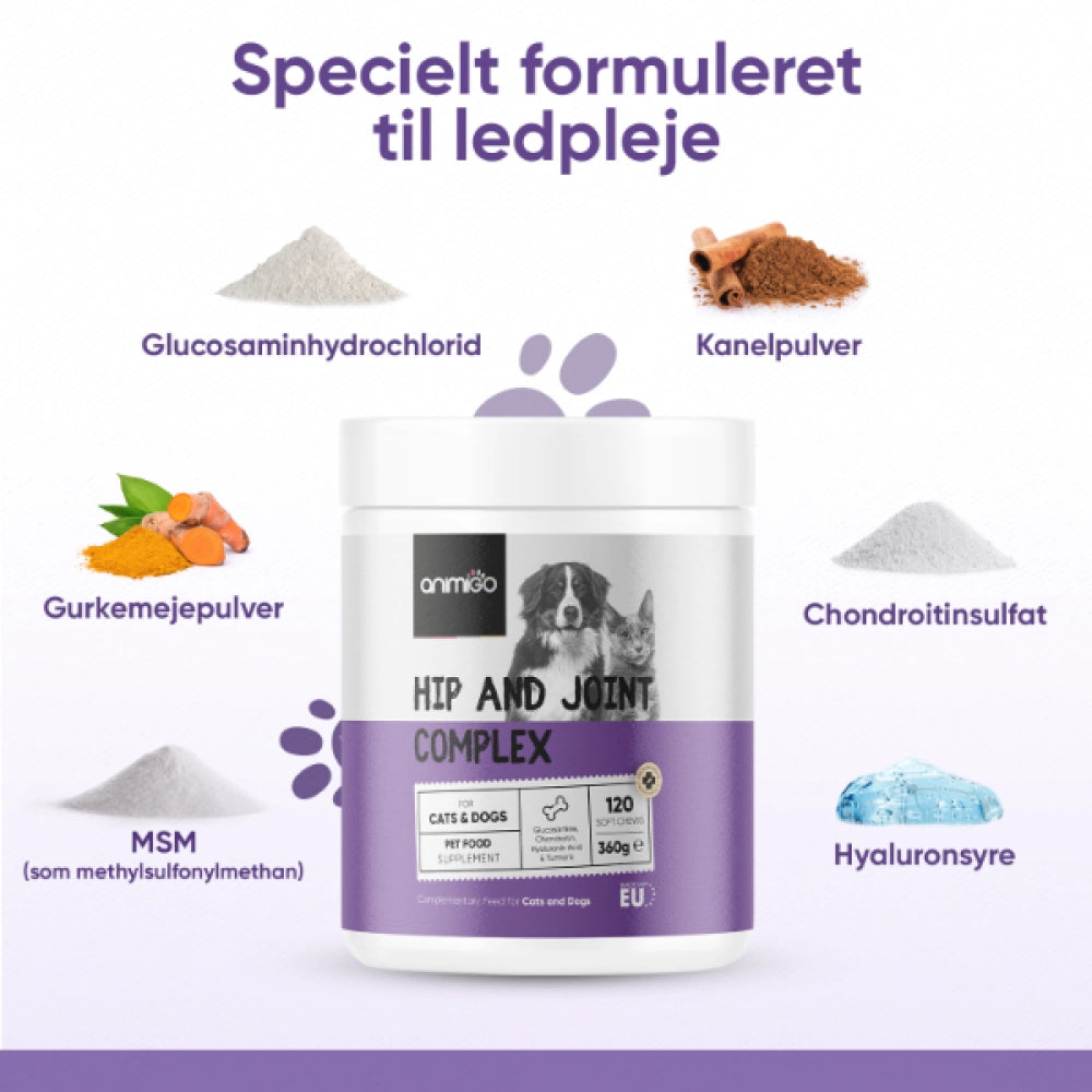 hip-and-joint-dk-2