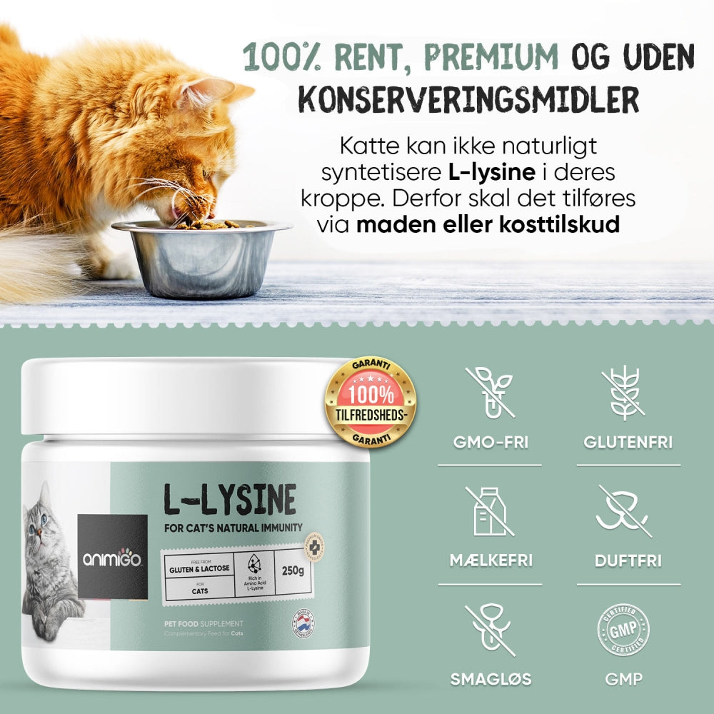 l-lysine-dk-250g-powder-04.jpg