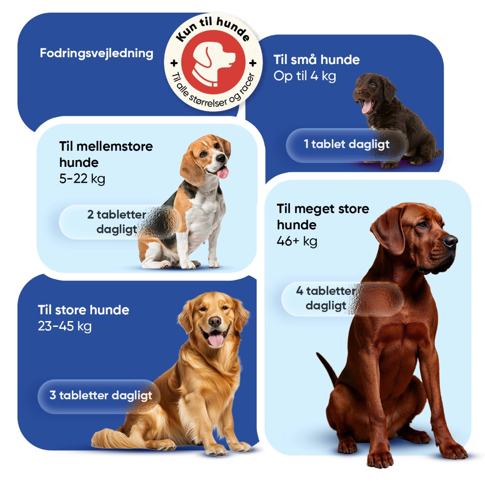 multivitamin-with-minerals-120-chews-dk-4