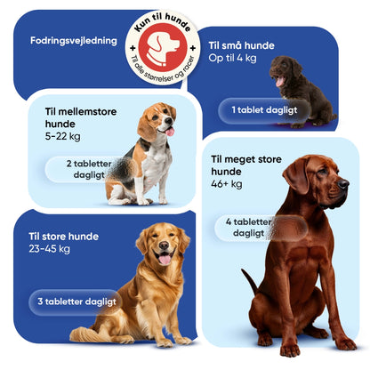 multivitamin-with-minerals-120-chews-dk-4