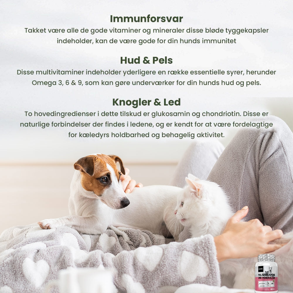 multivitamins-and-minerals-for-dogs-cat-dk-04.jpg