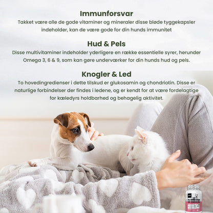 multivitamins-and-minerals-for-dogs-cat-dk-04.jpg