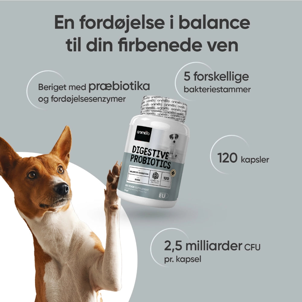probiotic-digestve-dk-2