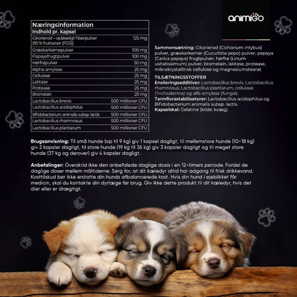 probiotic-digestve-dk-6
