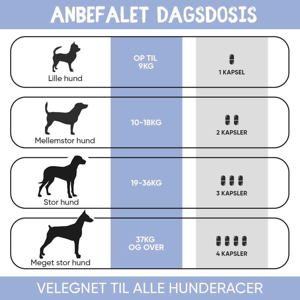 urinary-aid-tablets-dk-05.jpg